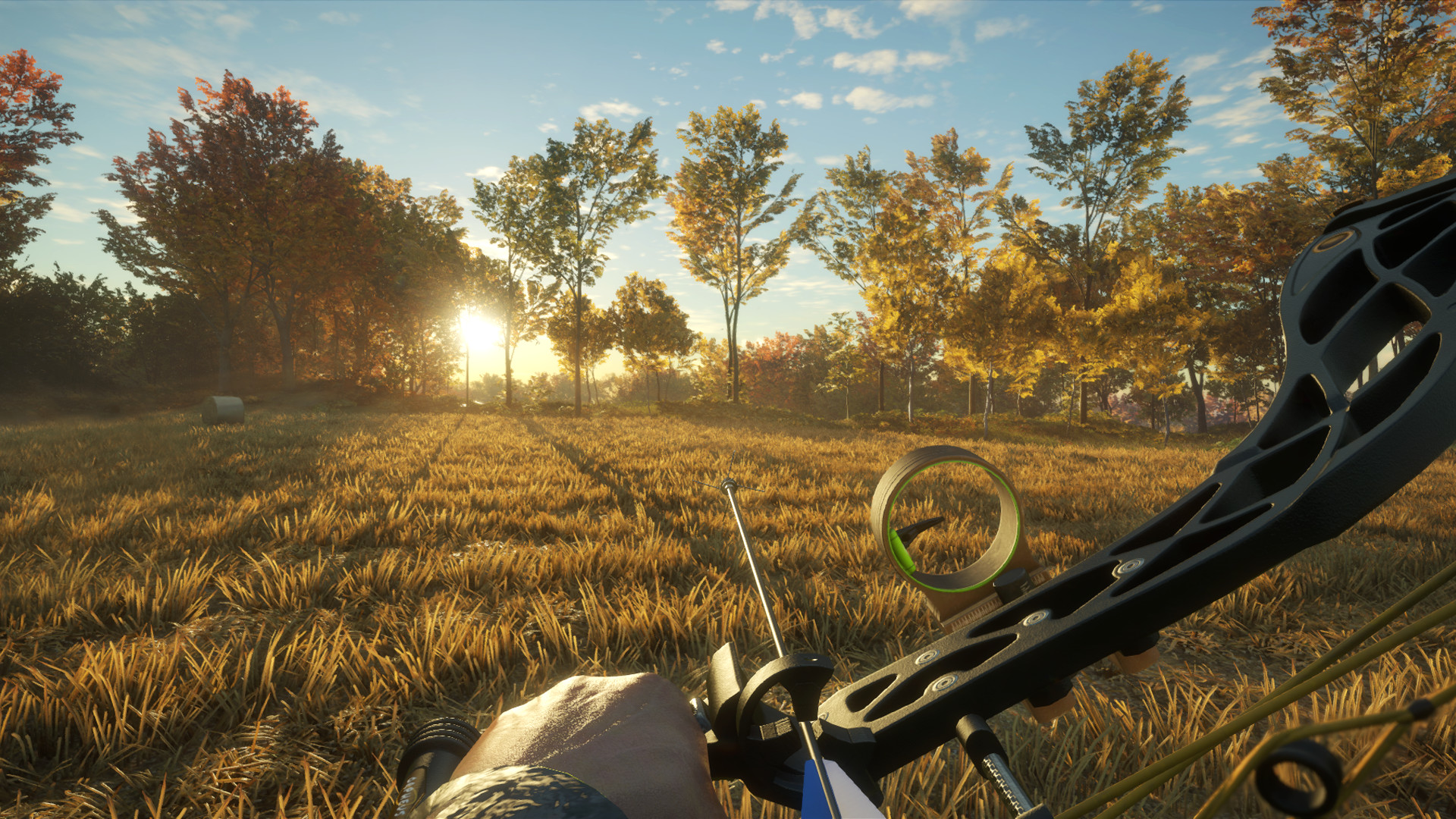 The Hunter Call Of The Wild Ps4 Controls