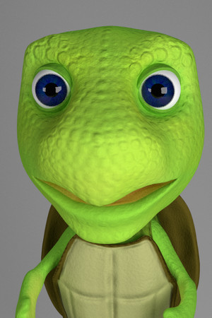 Turtle Rush cover art
