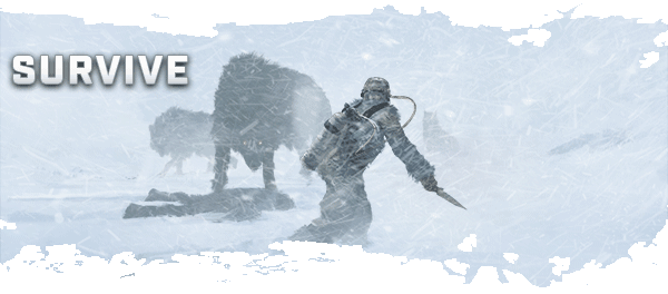 snow_wolves_sd.gif