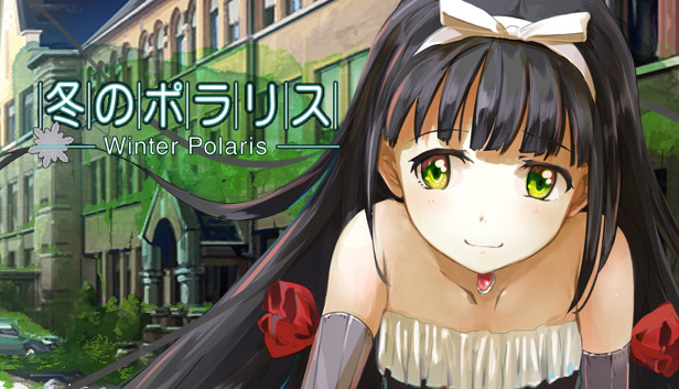 Winter Polaris Steam capsule image