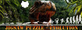 Jigsaw puzzle - Evolution