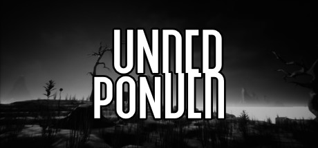 Underponder Cover Image
