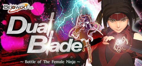 Dual Blade ~ Battle of The Female Ninja ~ concurrent players on Steam