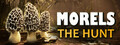 Morels: The Hunt