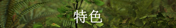羊肚菌狩猎游戏/Morels:The Hunt
