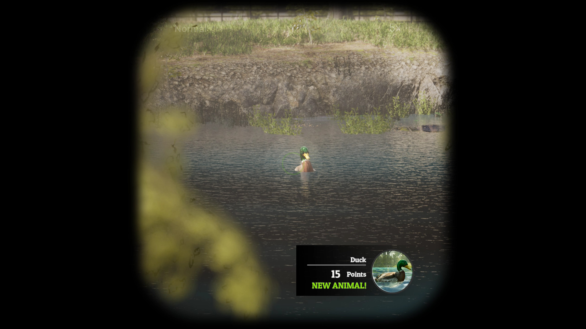 Morels The Hunt on Steam