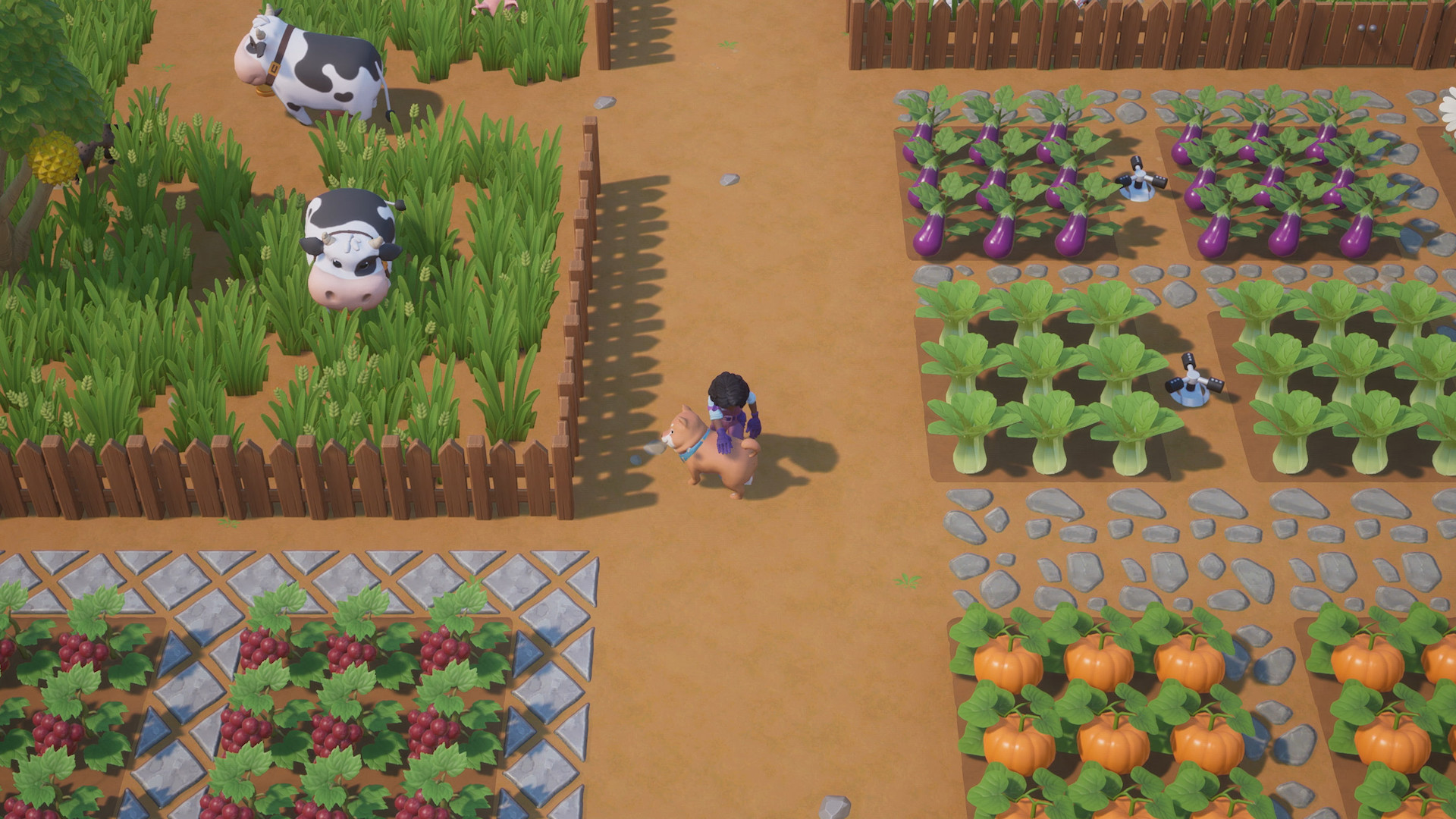 Indie Game Lover Coral Island