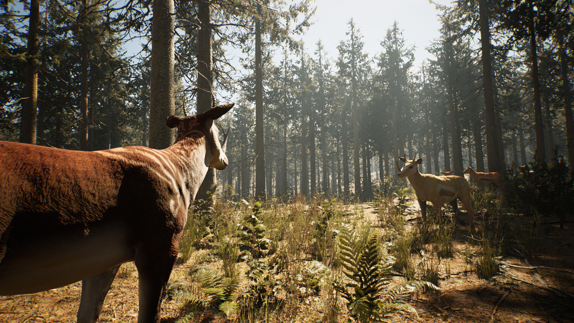 ss_65832594209408db83d231bd8784ac38c4c33