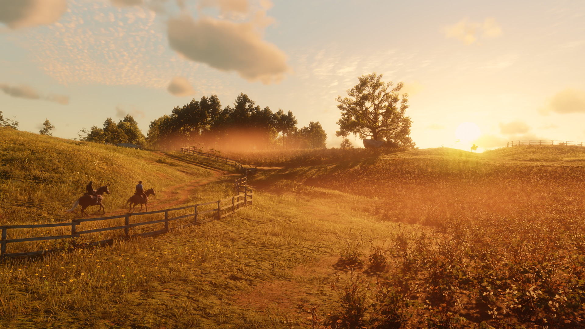 Red Dead Redemption 2' PC: How to Buy, Release Date, and