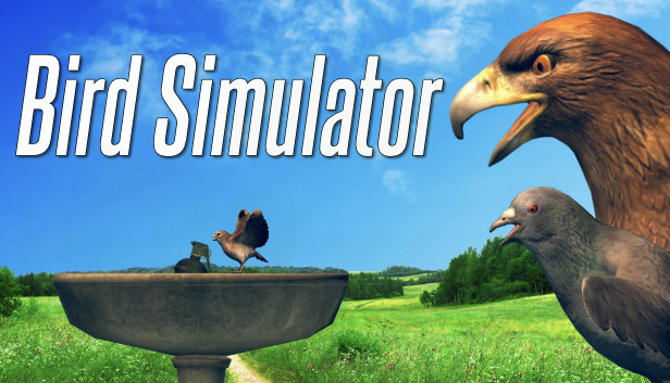 Bird Simulator Steam capsule image