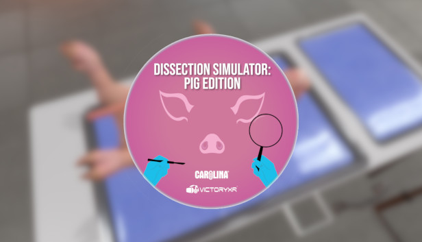 Dissection Simulator: Pig Edition Steam capsule image