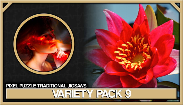 Pixel Puzzles Traditional Jigsaws Pack: Variety Pack 9 Steam capsule image
