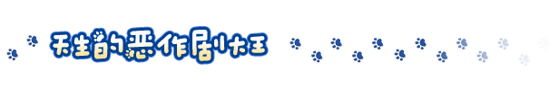 Feature4_SC.png