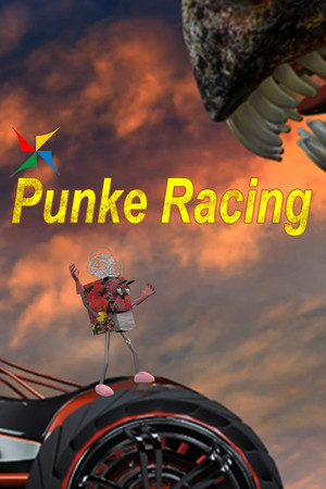 punke racing