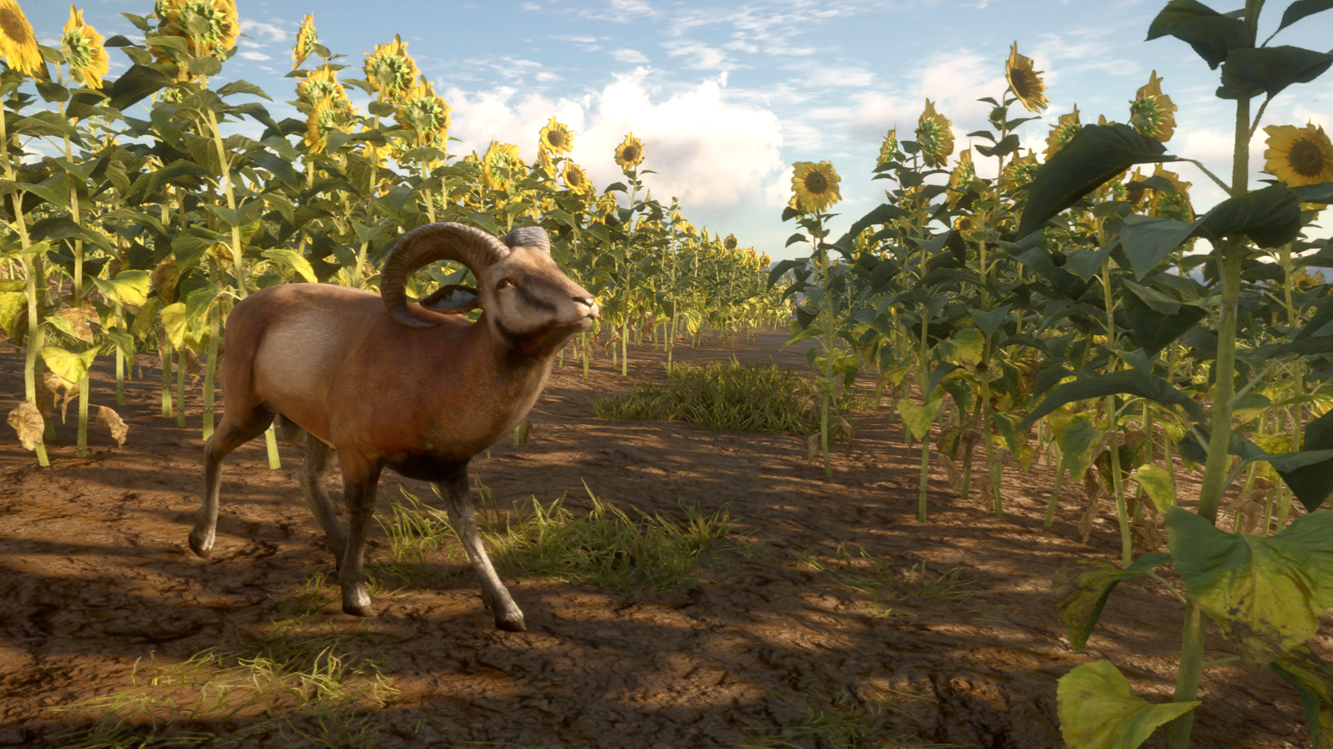 theHunter Call of the Wild™ Cuatro Colinas Game Reserve on Steam