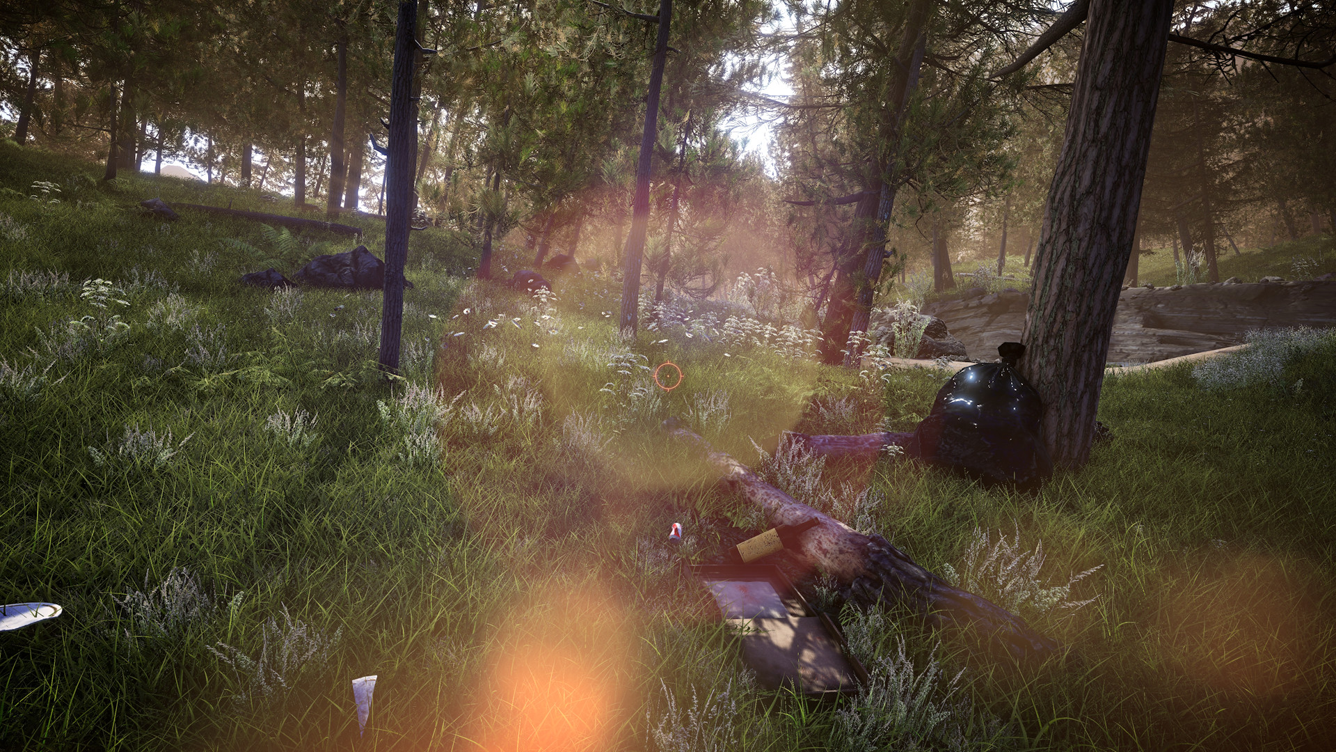 Forest Ranger Simulator on Steam