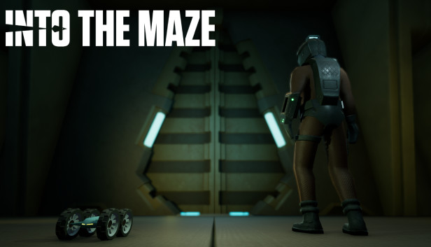 Into The Maze