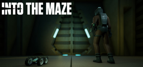 Into The Maze