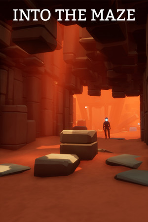 Into The Maze