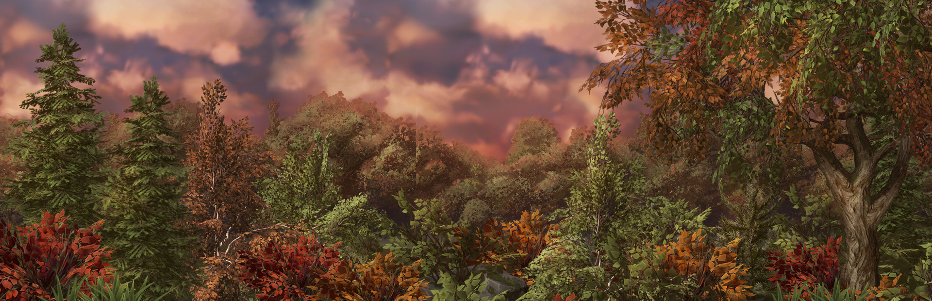 Deep In The Forest