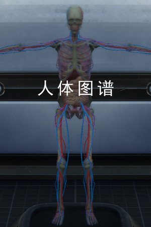 人体图谱