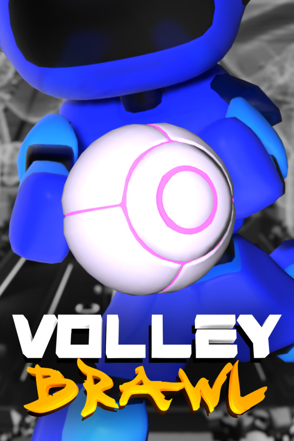 VolleyBrawl