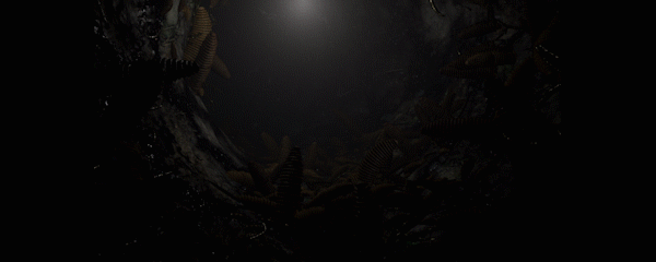 Spider Queen cave