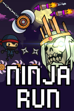 Ninja Run cover art