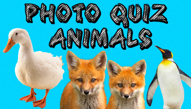 Photo Quiz - Animals Steam capsule image