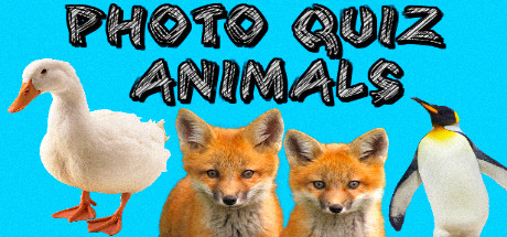 Photo Quiz - Animals