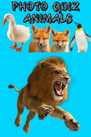 Photo Quiz - Animals cover