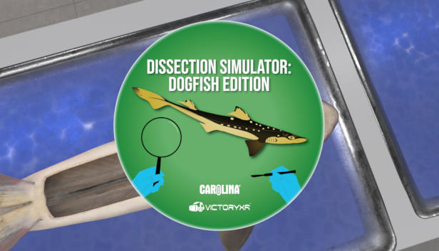Dissection Simulator: Dogfish Edition Steam capsule image