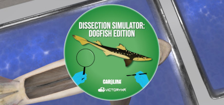 Dissection Simulator: Dogfish Edition