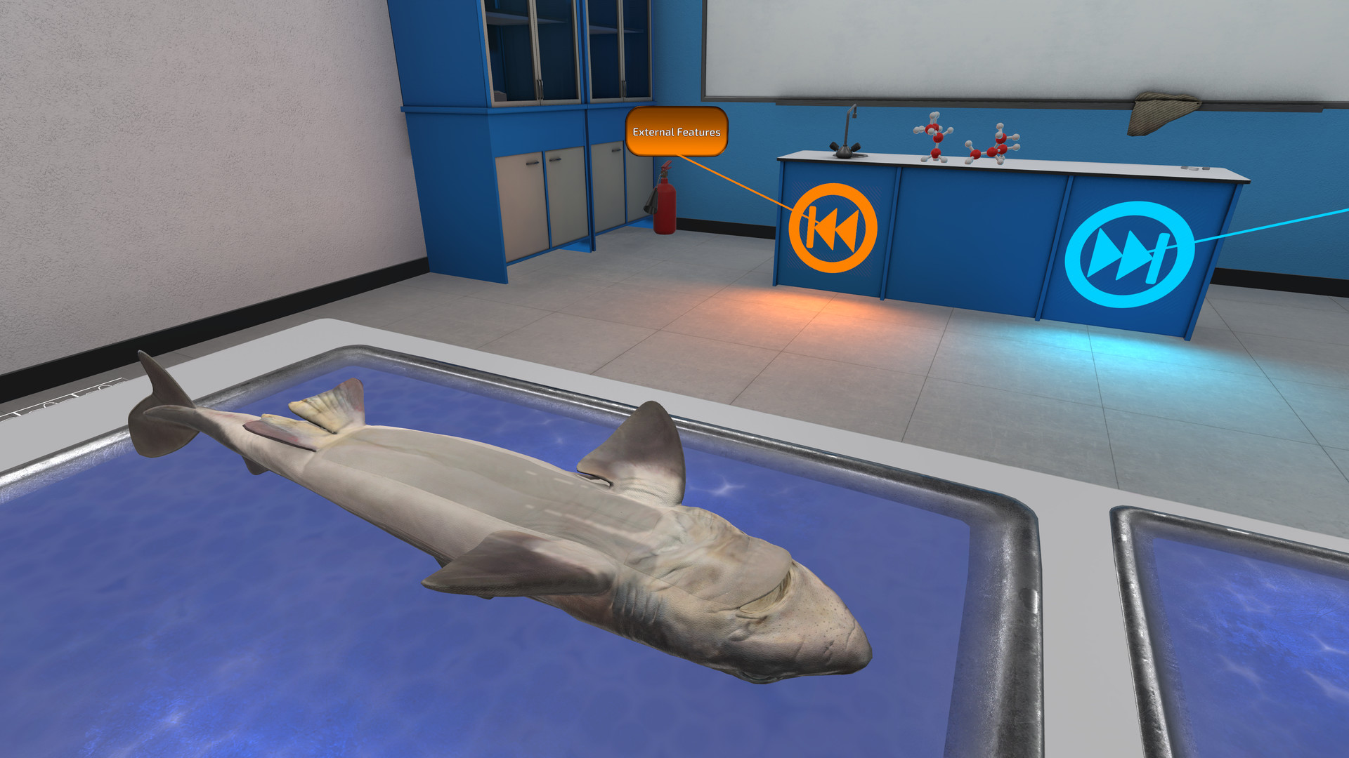 Oculus Quest 游戏《Dissection Simulator: Shark Edition VR》解剖模拟器：鲨鱼版