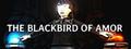 The Blackbird of Amor
