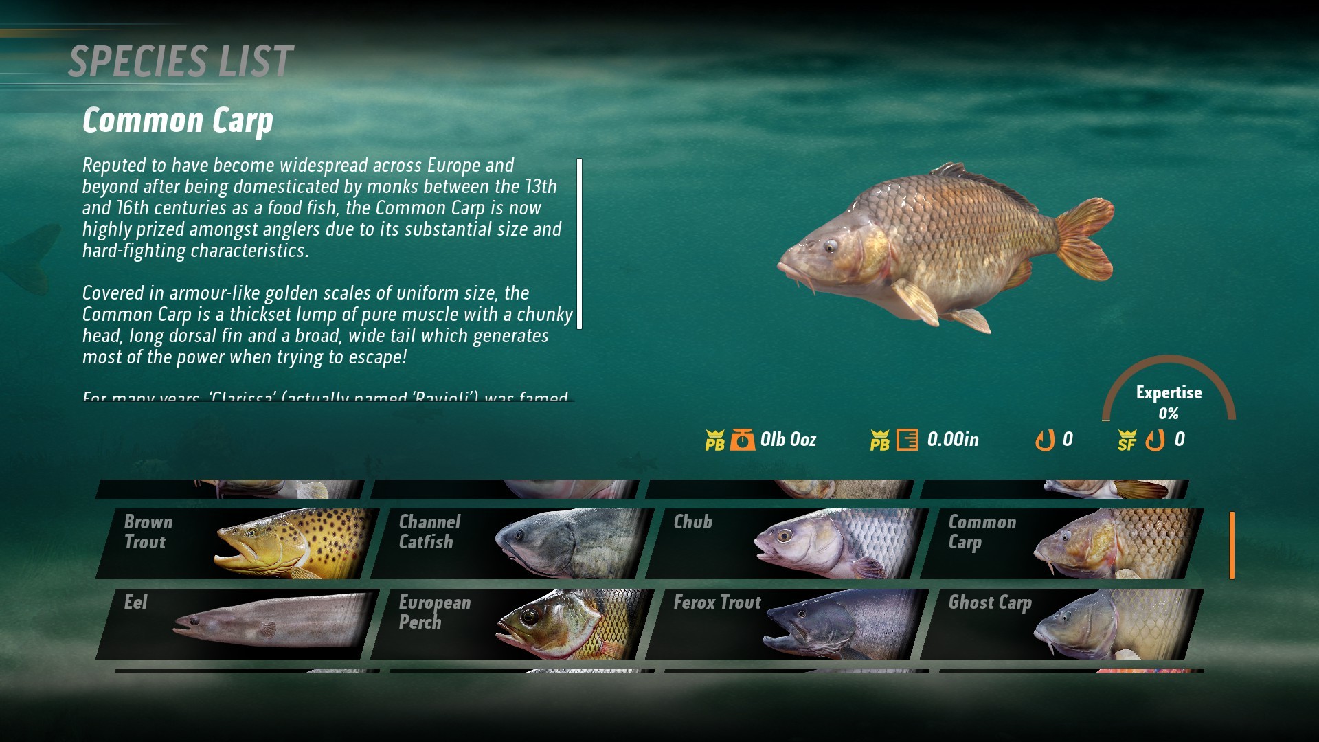The Catch Carp & Coarse Fishing on Steam