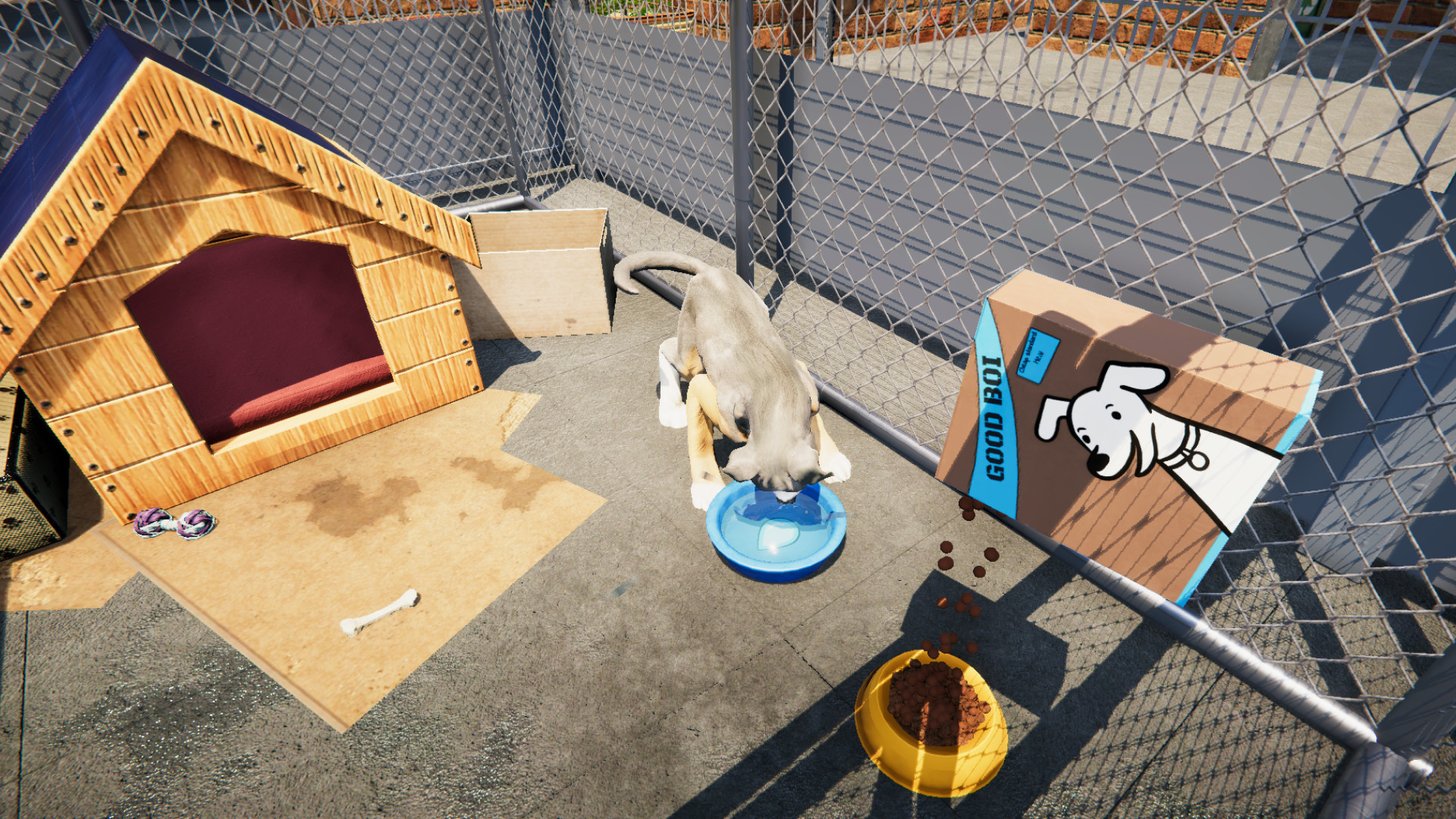 Animal Shelter Free Download for PC