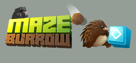 Maze Burrow Cover Image