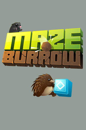Maze Burrow cover