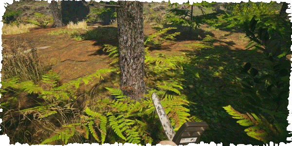 1.1.gif?t=1705346492
