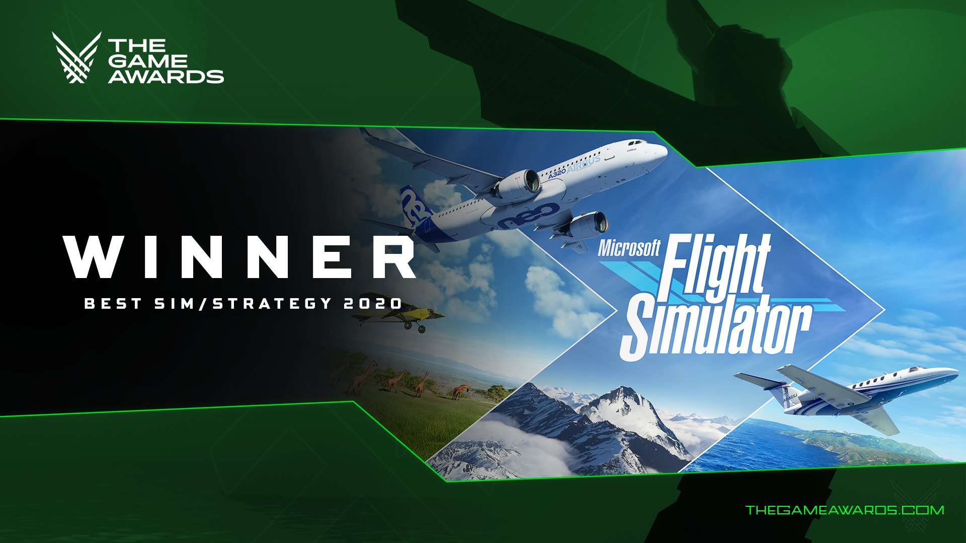 Microsoft Flight Simulator (2020)