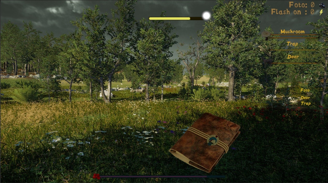 Steam Naturalist Stories