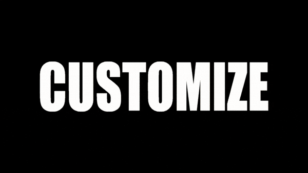 customize_optim.gif