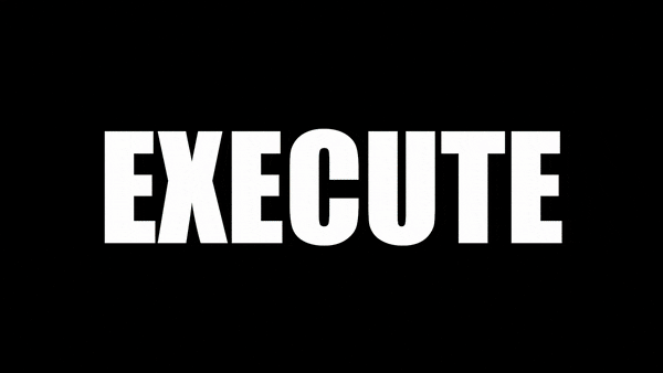 execute_optim.gif?t=1712163641
