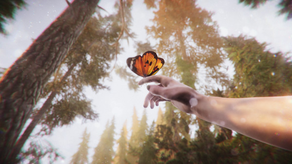 ภาพจากเกม The Forest Cathedral ภาพที่ 5