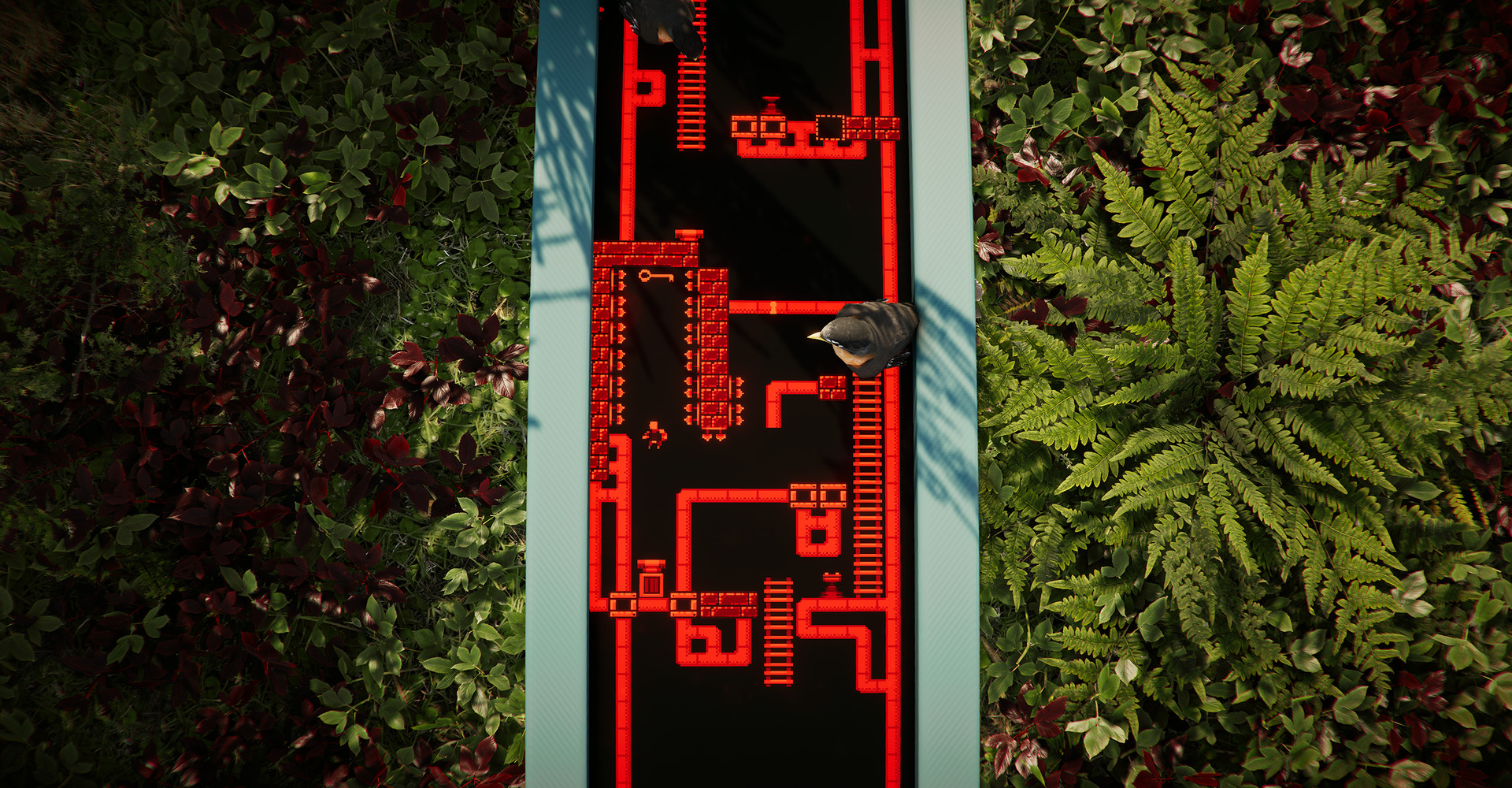 The Forest Cathedral