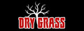 Dry Grass