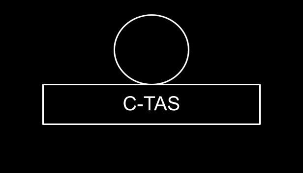 C-TAS: A Virtual Chinese Learning Game Steam capsule image