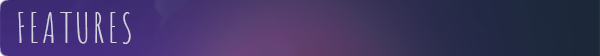 features.png