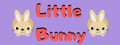 Little Bunny